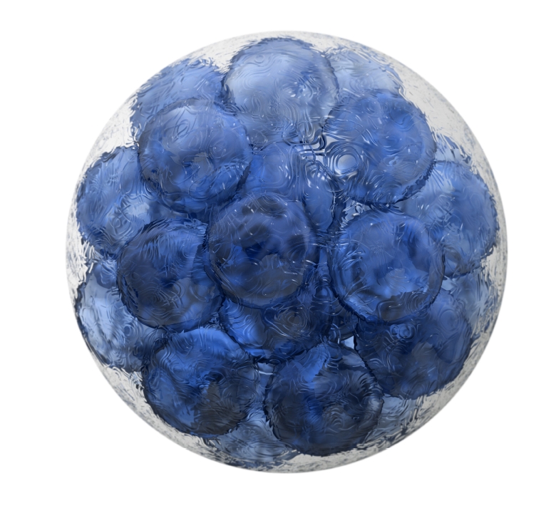 生物统计